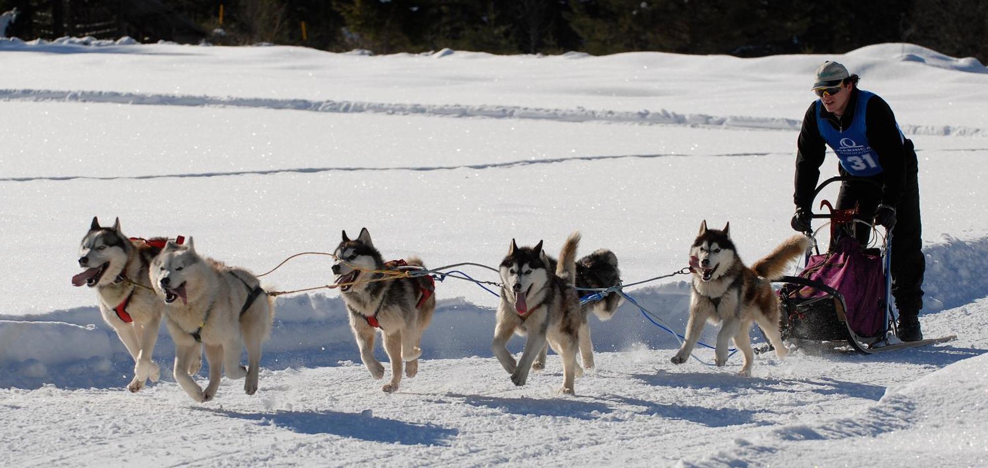Al Casello Tarvisio Esterno foto